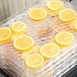 HOMCOM 245W 5 Tier Food Dehydrator - Silver - 800-142V70 -Home Kitchen homcom 800142v70 1 close up view